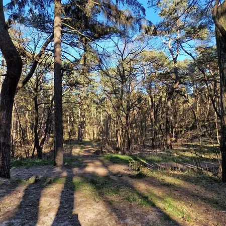 I Angelo Z Sauna I Jacuzzi- Casa vacanze *