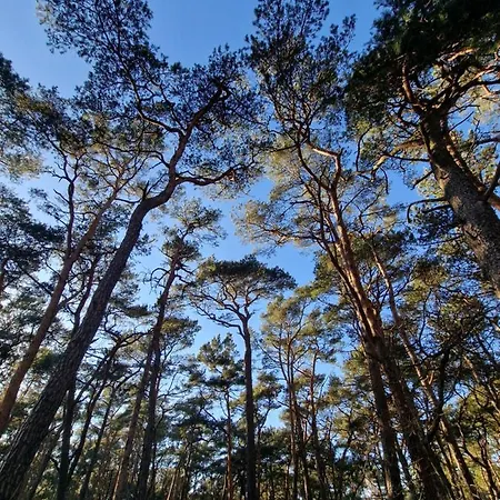 I Angelo Z Sauna I Jacuzzi- *