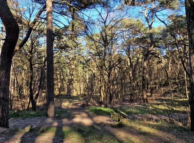 I Angelo Z Sauna I Jacuzzi- Prázdninový dům *