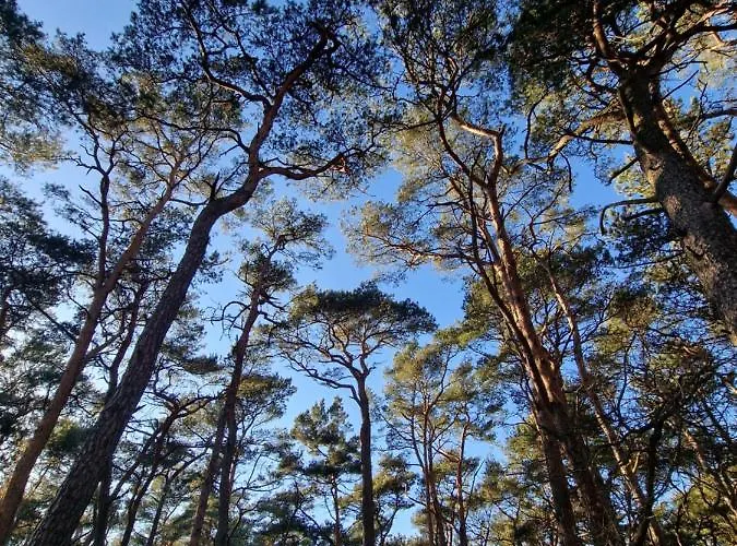 I Angelo Z Sauna I Jacuzzi- *